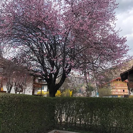 Apartmán Casa Pinuccia Est